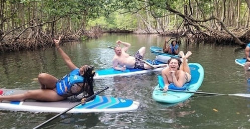 Group of people laughing and lounging on paddleboards in a mangrove-lined coastal creek, wearing life vests and swimwear with paddles — fun paddleboarding outing.