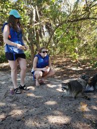 Two people wearing blue life jackets on a shaded sandy forest shoreline watching a curious raccoon approach