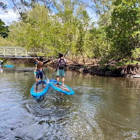 Two people stand-up paddleboarding on bright blue boards down a tree-lined river, paddling past a small pedestrian bridge on a sunny day.