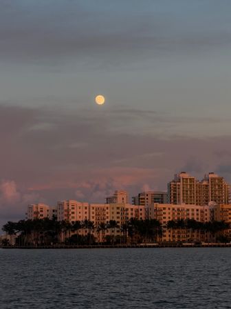 Sunset + Champagne Evening Boat Tour image 13
