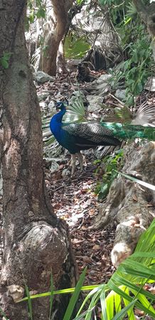 Honor Roll Ultimate Island Charter image 6