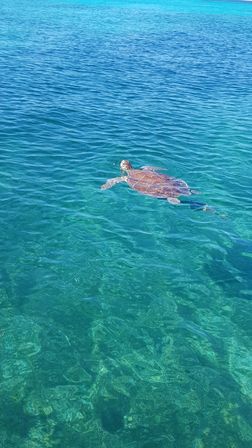 Honor Roll Ultimate Island Charter image 8