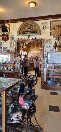 Interior of a Nevada antique shop with a vintage sewing machine in the foreground, taxidermy mounts, a US 95 highway sign, glass display cases and shoppers browsing Western curios.