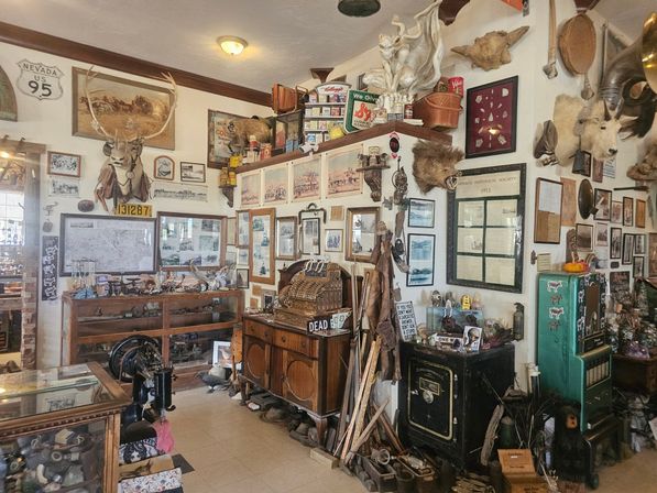 Interior of a Nevada antique shop packed with vintage curios: mounted elk and boar heads, ornate antique cash register and safe, framed historical photos, retro tins and wooden display cases.