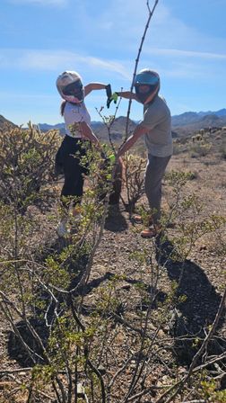 Two helmeted off-road riders elbow‑bump while standing among cacti and scrub in a sunlit rocky desert with distant mountains under a bright blue sky.