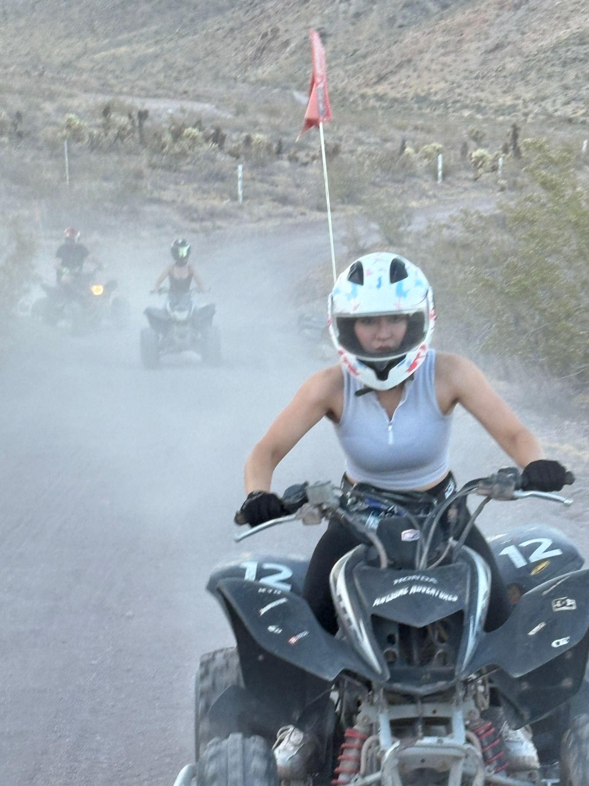 Action-packed desert off-road scene: rider in a white helmet driving an ATV numbered 12 on a dusty trail with an orange safety flag and two other ATVs kicking up dust behind.