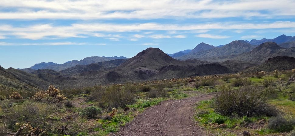 Old West ATV & 1861 Gold Mine Tour w/5 Activities in 1 Tour w/ Lunch + FREE Photos image 25