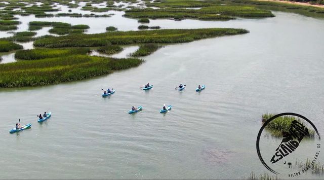 Aerial view of blue kayaks paddling in a small flotilla through calm coastal salt marsh channels surrounded by green tidal grass.
