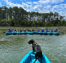 Eager black dog at the bow of a blue kayak watching a line of paddlers in blue kayaks across a coastal marsh with tall pines under a bright, partly cloudy sky — group kayak outing on calm water