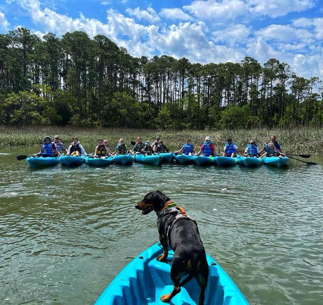 Eager black dog at the bow of a blue kayak watching a line of paddlers in blue kayaks across a coastal marsh with tall pines under a bright, partly cloudy sky — group kayak outing on calm water