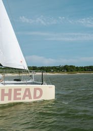 White-sailed catamaran with bold lettering on the hull gliding on green-tinted water near a sandy coastal shoreline and tree-lined marsh under a bright blue sky