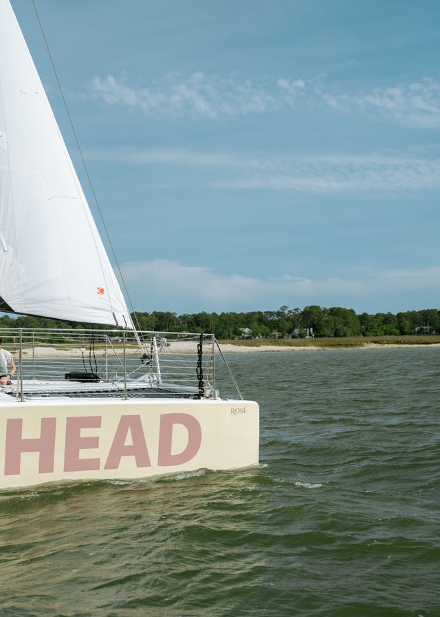 White-sailed catamaran with bold lettering on the hull gliding on green-tinted water near a sandy coastal shoreline and tree-lined marsh under a bright blue sky