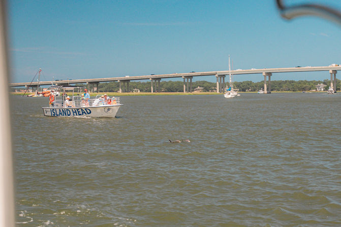 Sightseeing boat with passengers cruising a coastal estuary near a long concrete bridge, a sailboat in the distance and a dolphin fin breaking the water under a sunny blue sky.