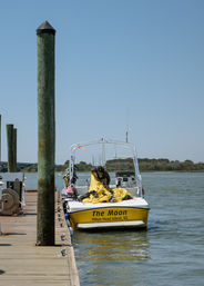 Yellow boat moored at a wooden dock on a calm coastal inlet, a person folding a bright yellow sail or canopy on deck, tall pilings and a tree-lined shore under a clear blue sky.