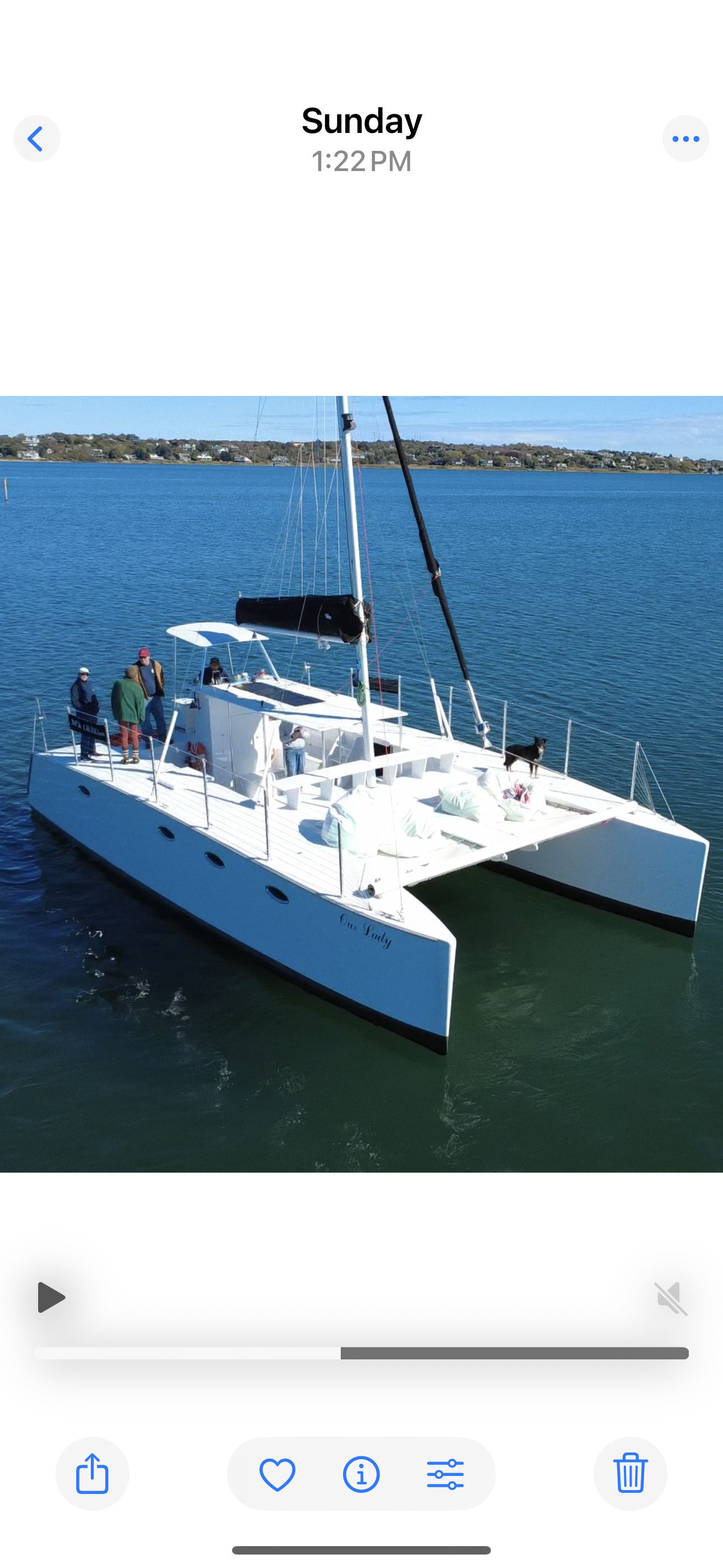Aerial view of a white catamaran sailboat with people and a dog on the bow gliding across calm blue bay waters with a low coastal shoreline in the background.
