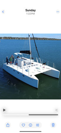 Aerial view of a white catamaran sailboat with people and a dog on the bow gliding across calm blue bay waters with a low coastal shoreline in the background.