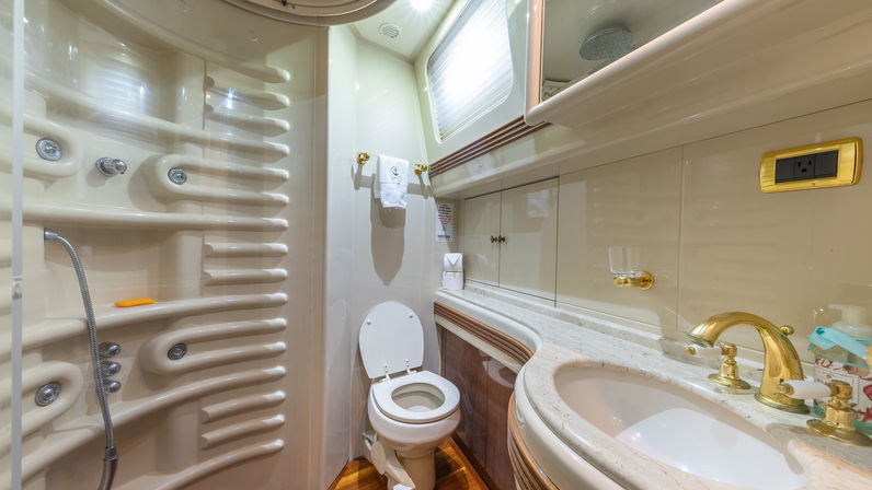 Luxury yacht bathroom head with molded multi-jet shower stall, white toilet, marble vanity, gold faucet and mirrored cabinets