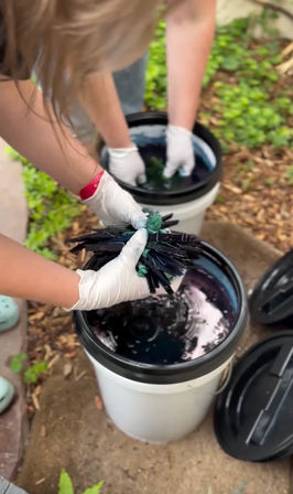 Gloved hands dyeing a bundle of clothespins in teal and purple buckets on a backyard patio with green groundcover and mulch