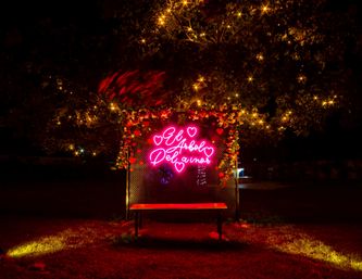 Nighttime park photo spot with a neon pink sign reading "El Arbol Del Amor" surrounded by hearts and flowers under a tree strung with warm fairy lights, a lit bench on the grassy lawn.