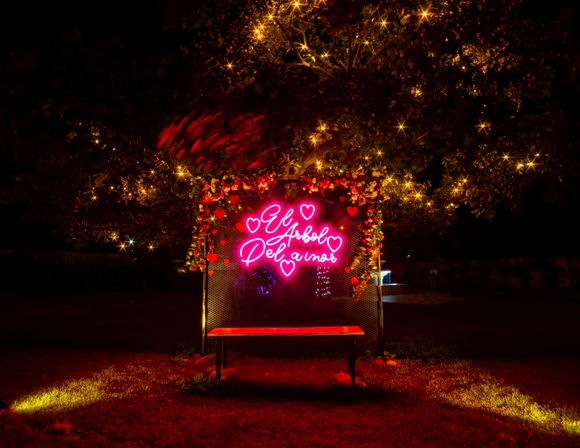 Nighttime park photo spot with a neon pink sign reading "El Arbol Del Amor" surrounded by hearts and flowers under a tree strung with warm fairy lights, a lit bench on the grassy lawn.