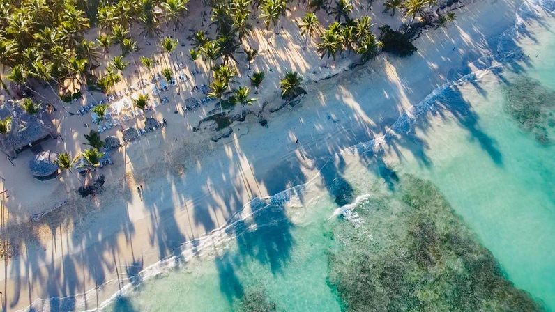 Aerial view of a tropical palm‑lined white sand beach with turquoise water, lounge chairs, palapas and long palm shadows stretching over a shallow reef.