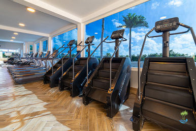Sunlit tropical gym: row of black stair climbers and treadmills by floor-to-ceiling windows with palm-tree view and herringbone wood floor, modern cardio equipment for coastal workouts