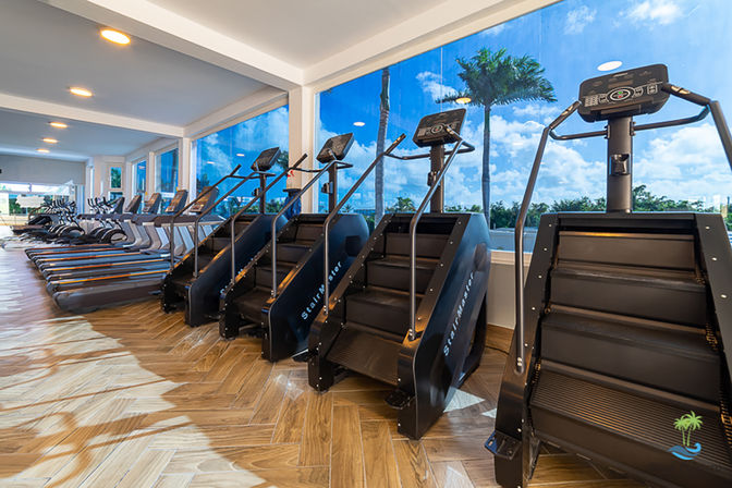 Sunlit tropical gym: row of black stair climbers and treadmills by floor-to-ceiling windows with palm-tree view and herringbone wood floor, modern cardio equipment for coastal workouts