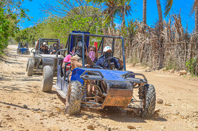 Blue off-road dune buggies kicking up dust on a tropical dirt trail lined with palm trees and bright blue sky, passengers wearing bandanas and caps on a guided adventure tour.