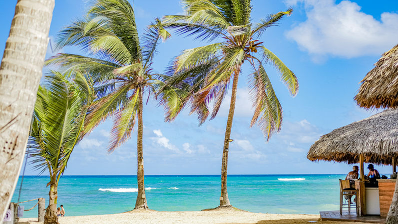 Sunny tropical beach with swaying palm trees, turquoise water and white sand, a thatched tiki bar with guests, and a bright blue sky — relaxing vacation vibe.
