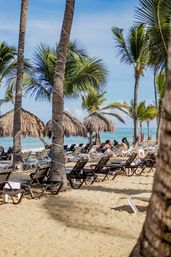 Sunny tropical beach with tall palm trees, thatched palapas and rows of lounge chairs on golden sand by turquoise water.