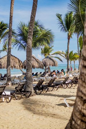 Sunny tropical beach with tall palm trees, thatched palapas and rows of lounge chairs on golden sand by turquoise water.