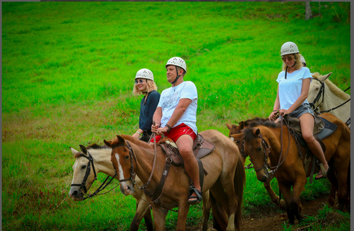 Group horseback riding: three helmeted riders on brown and cream horses traveling along a lush green pasture hill on an outdoor trail.