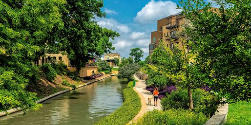 Sunny urban canal promenade with tree-lined walking path, lush gardens, residential buildings, and a person walking a dog under a blue sky.