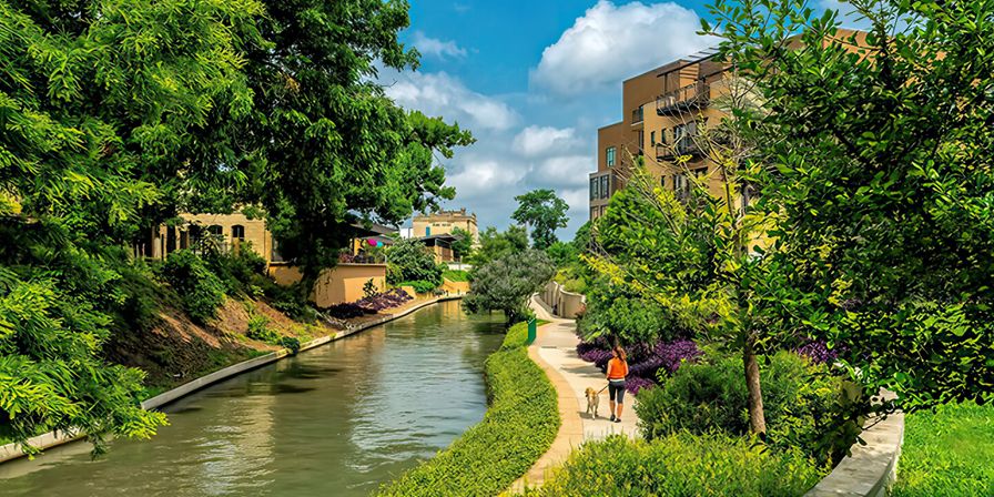 Sunny urban canal promenade with tree-lined walking path, lush gardens, residential buildings, and a person walking a dog under a blue sky.