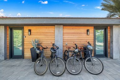 Four black cruiser bicycles with brown leather seats and helmets lined up on a paved patio in front of a modern wood-paneled exterior with glass doors, potted agave plants and a bright blue sky.