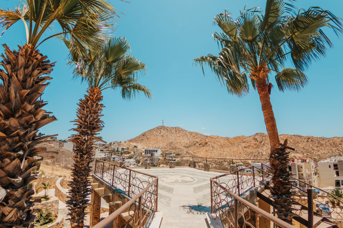 Sunny lookout plaza framed by tall palm trees, overlooking a desert town and rocky hills under a bright blue sky