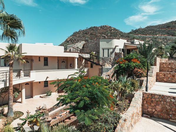 Sun-drenched hillside resort courtyard with white stucco buildings, stone terraces and stairways, palm trees, vibrant orange-flowered shrubs, and a rocky hill backdrop under a bright blue sky.