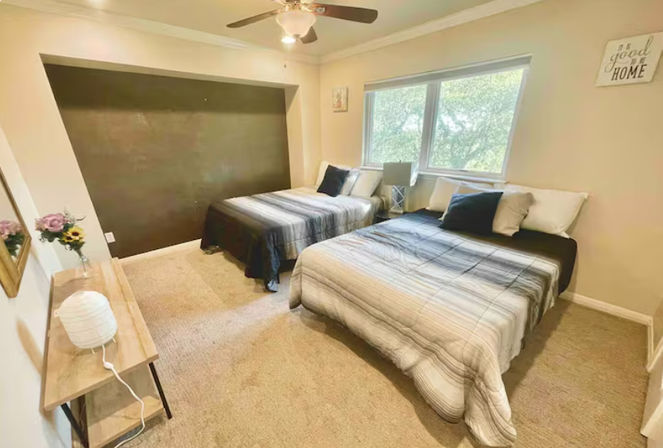Cozy carpeted guest bedroom with two beds in gray striped bedding, large window with tree view, ceiling fan, bedside lamp and neutral beige walls.