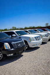 Lineup of black and white Cadillac Escalade SUVs parked on a gravel lot under a bright blue sky