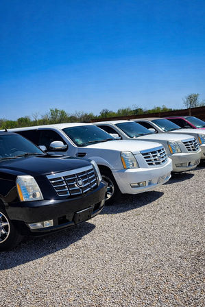 Lineup of black and white Cadillac Escalade SUVs parked on a gravel lot under a bright blue sky