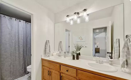 Bright contemporary bathroom with double white sinks, wooden vanity, large mirror, chrome light fixture, gray shower curtain and decorative greenery.
