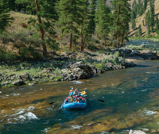 Group on a blue raft whitewater rafting down a clear river with rocky banks and pine-covered hills — summer outdoor adventure