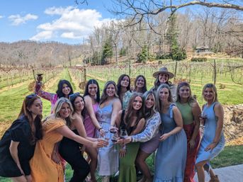 Group of friends smiling and toasting with wine glasses at a sunny vineyard, vine rows stretching toward rolling wooded hills under a blue sky