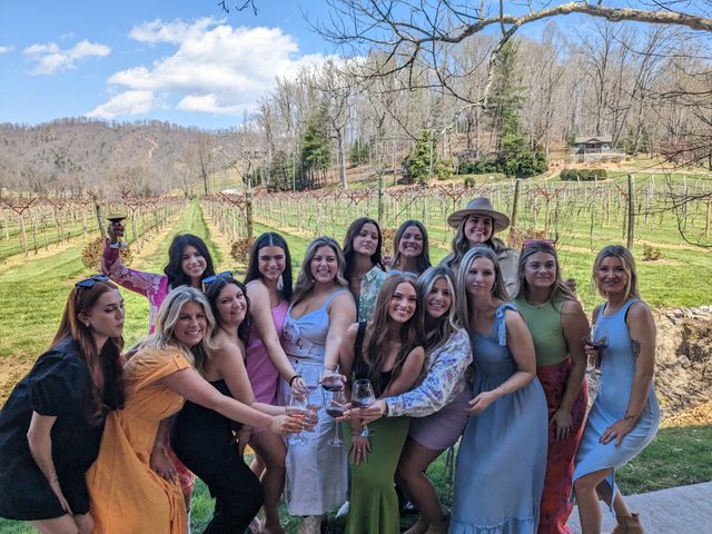 Cheerful group of friends toasting with wine glasses at a sunny vineyard tasting, posed in front of neat vine rows and rolling wooded hills under a bright blue sky.