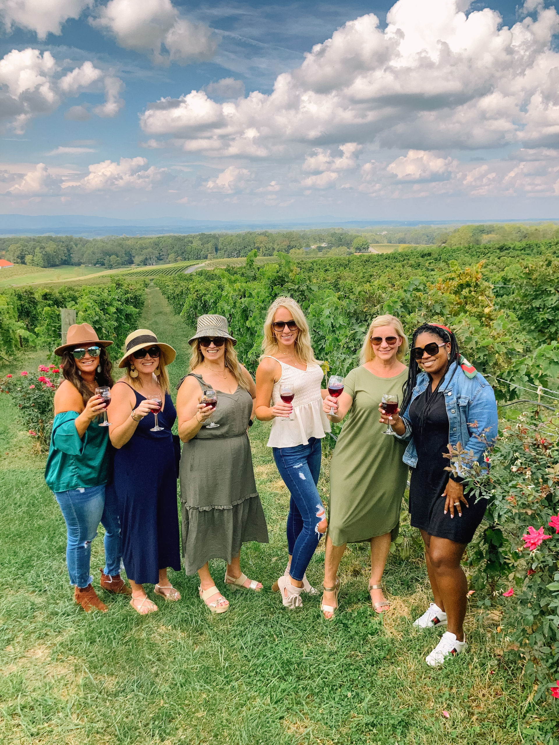 Six women raise glasses of red wine in a sunny vineyard, lush grapevines stretching into rolling green countryside under a dramatic blue sky with puffy clouds.