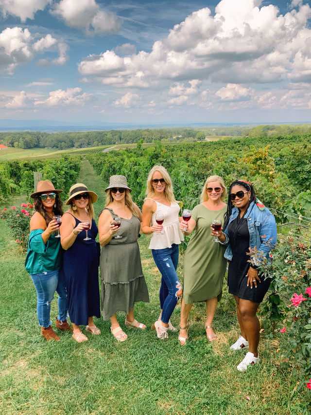 Six friends holding glasses of red wine at a sunny vineyard wine tasting, posing among grapevines with rolling green hills and puffy clouds under a blue sky