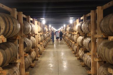 Barrel-lined tunnel inside a distillery cellar: rows of stacked oak aging barrels on wooden racks, overhead lights illuminating a concrete aisle with visitors walking toward the far end.