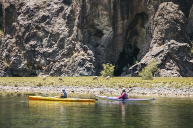 Half Day Kayak Tour to Emerald Cove image 18