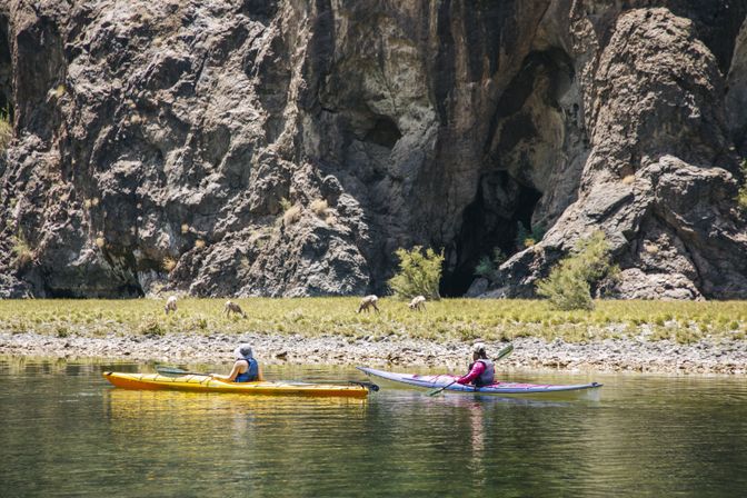Half Day Kayak Tour to Emerald Cove image 16