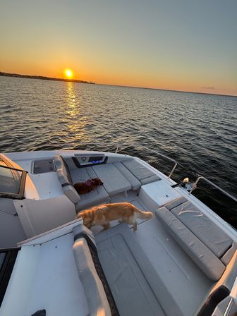 Sunset boat ride on calm coastal waters with golden sunlight reflecting on the rippled sea, two dogs relaxing on a white motorboat deck — a golden retriever and a small brown dog.